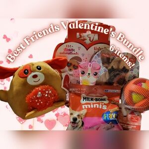 Valentine's Day Gift Bundle with Plush and Treats For You And Your Best Friends